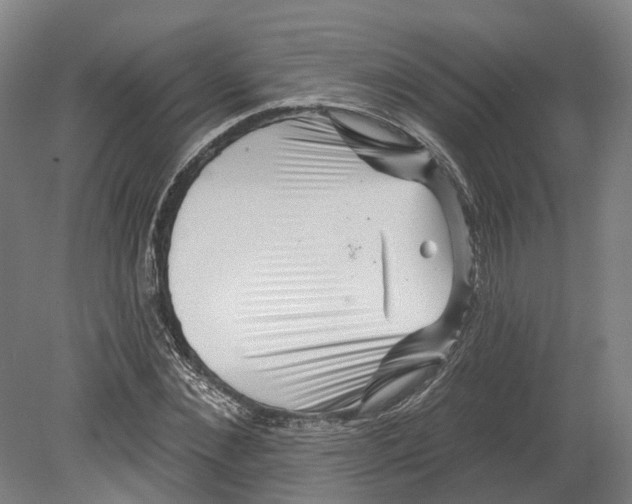 X0000080790876200701051351