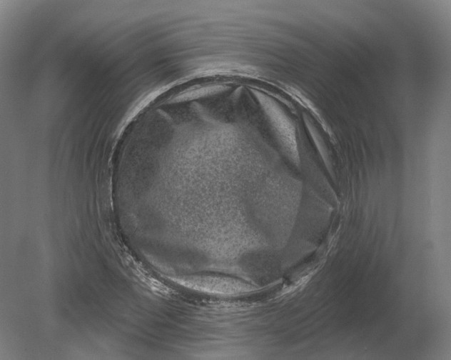 X0000080790877200701051351