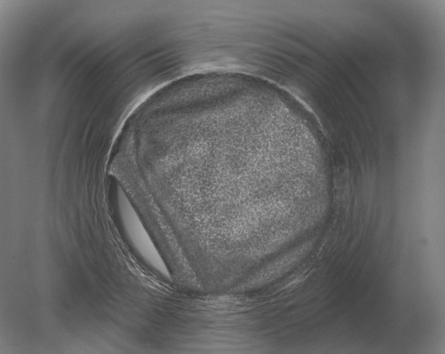 X0000080790879200701051351