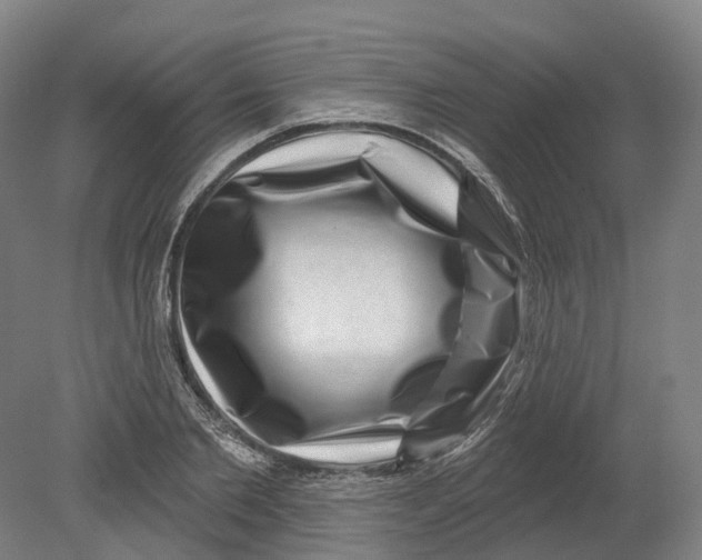 X0000080790885200701051351
