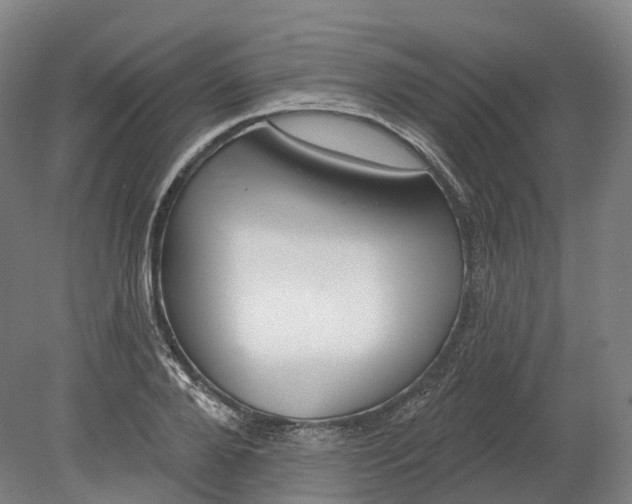 X0000080790888200701051350