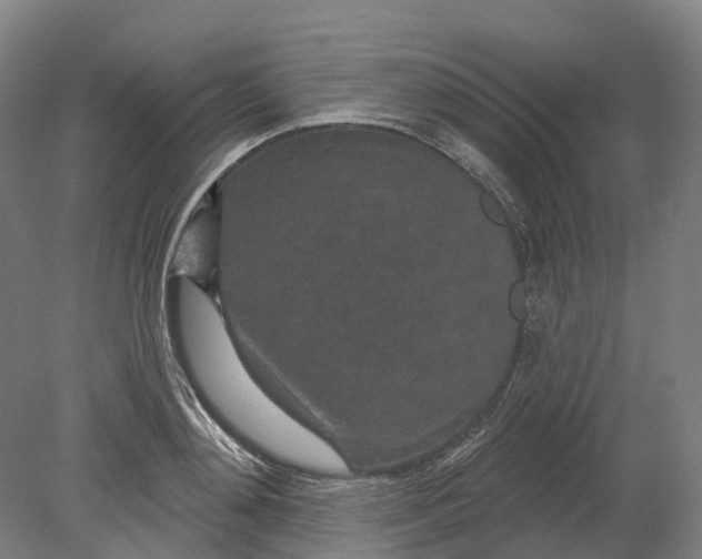 X0000080790892200701051350