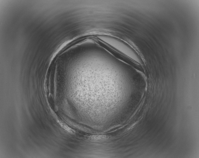 X0000080790893200701051350
