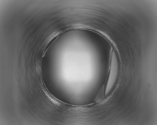 X0000080790897200701051350