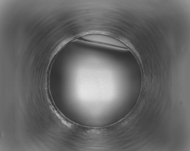 X0000080790898200701051350