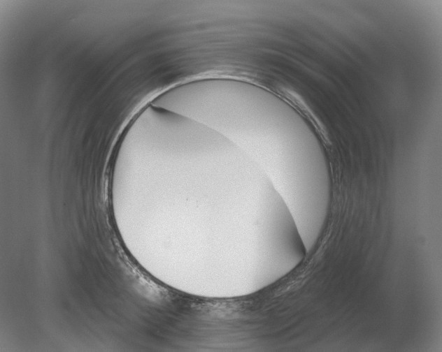 X0000080790900200701051350