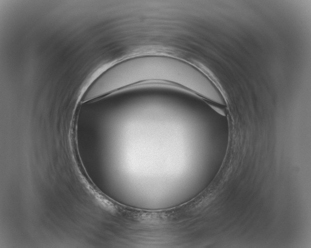 X0000080790901200701051350