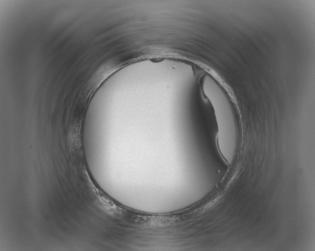 X0000080790905200701051350