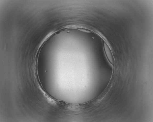 X0000080790909200701051350