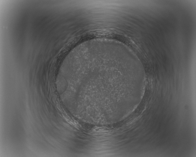 X0000080790913200701051349