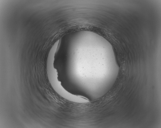 X0000080790916200701051349