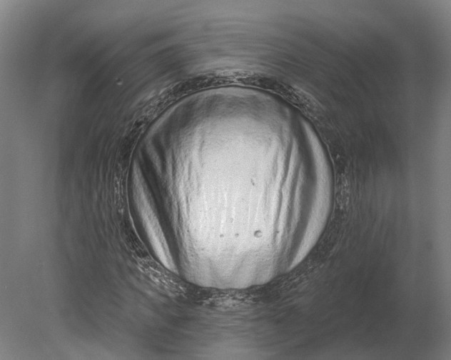 X0000080790917200701051349