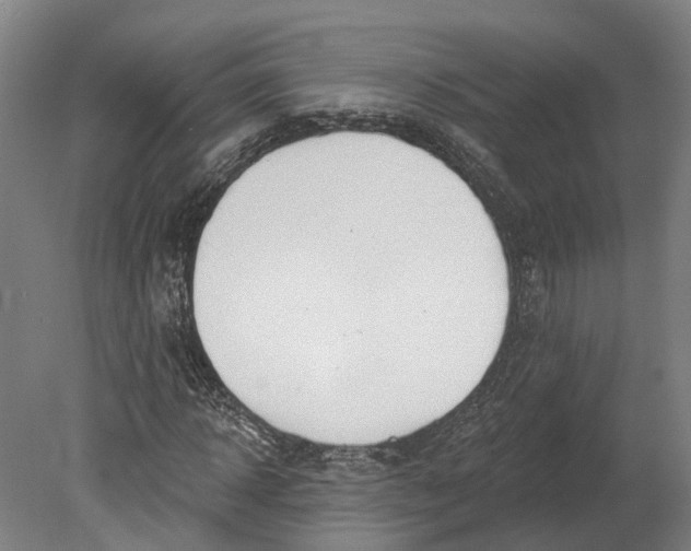 X0000080790918200701051349