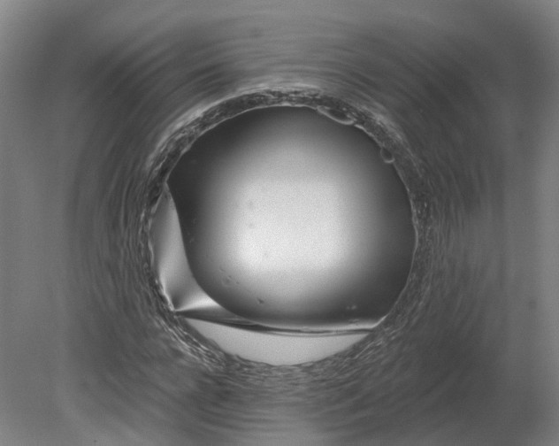 X0000080790920200701051349