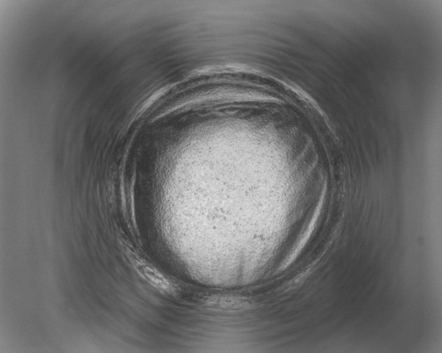 X0000080790921200701051349