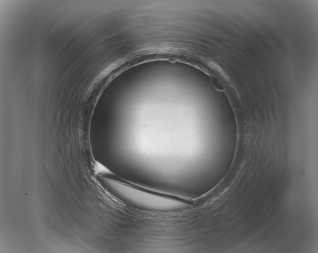 X0000080790922200701051349