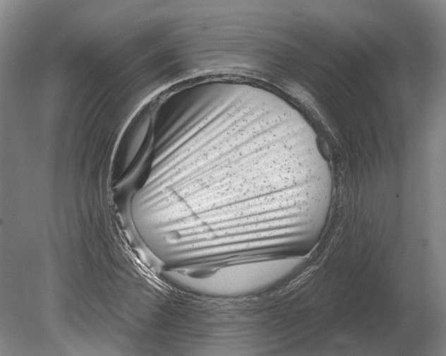 X0000080790924200701051349