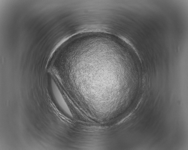 X0000080790925200701051349