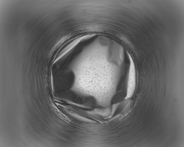 X0000080790930200701051350