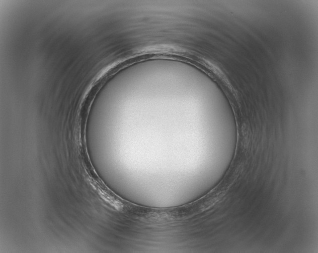 X0000080790931200701051350