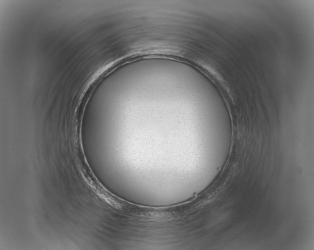 X0000080790933200701051350