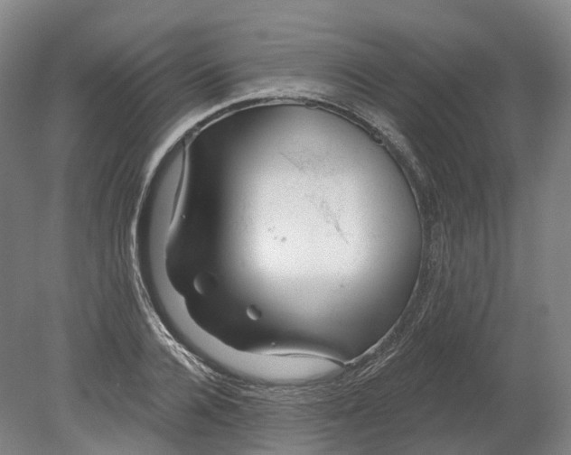 X0000080790936200701051350