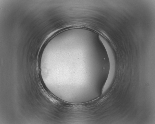 X0000080790940200701051350