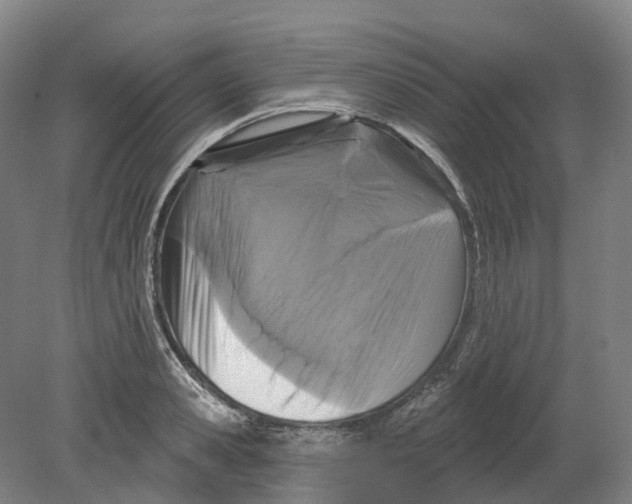 X0000080790941200701051350