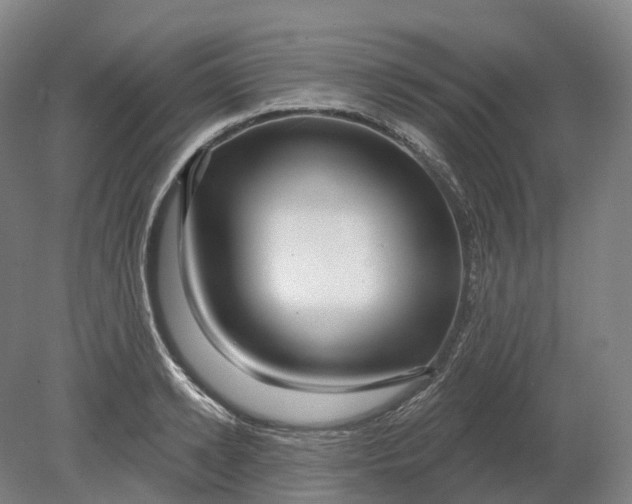 X0000080790942200701051350