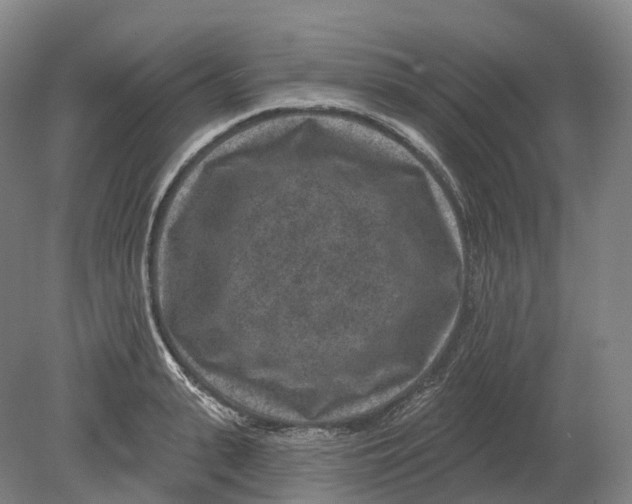 X0000080790943200701051350