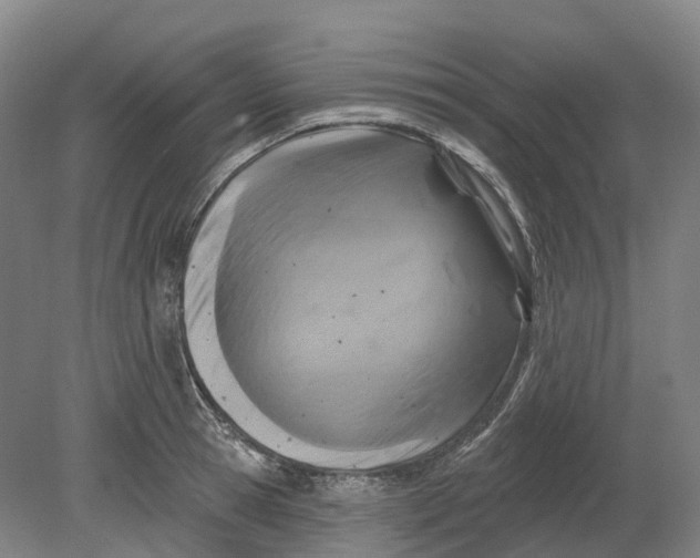 X0000080790945200701051350