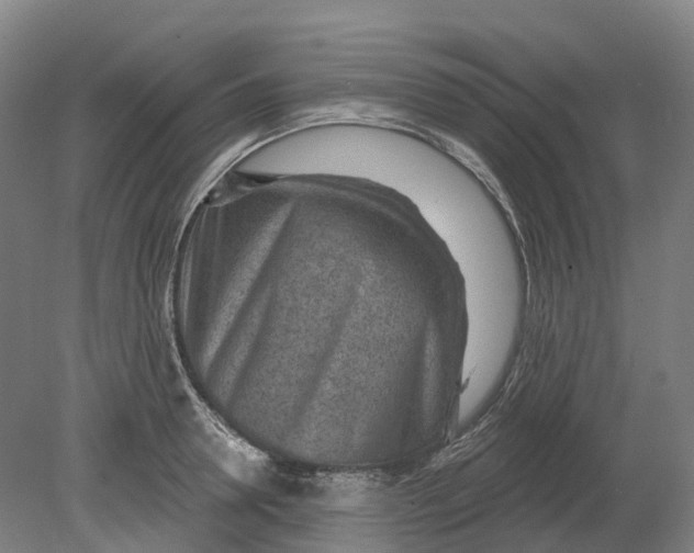 X0000080790946200701051350