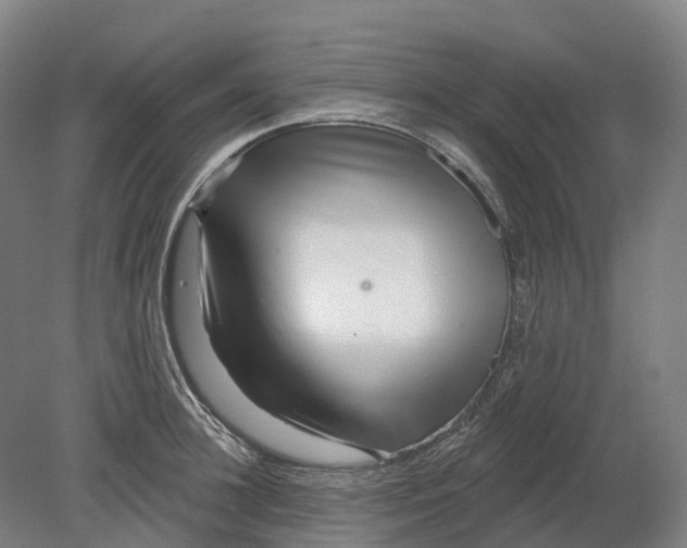 X0000080790948200701051350
