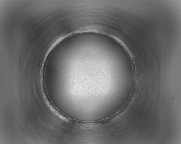 X0000080790949200701051350