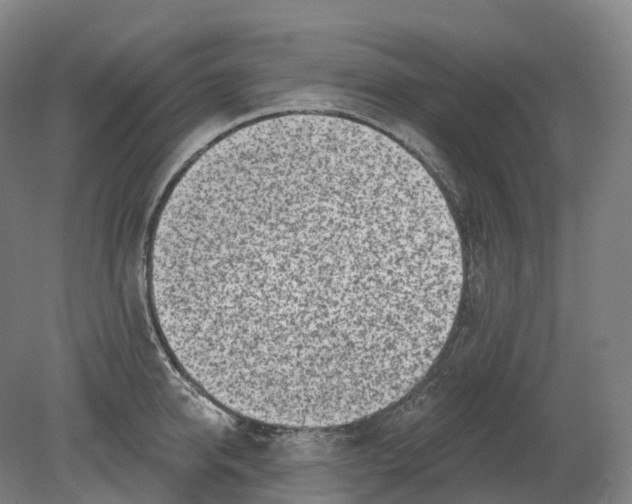 X0000080790950200701051350