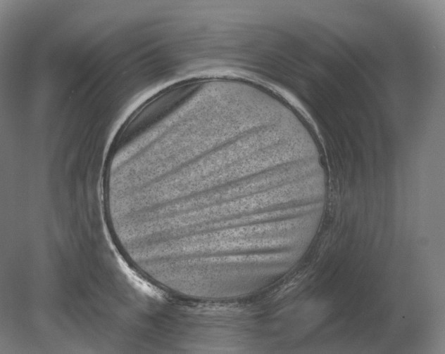 X0000080790951200701051350
