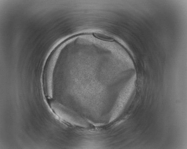 X0000080790959200701051350