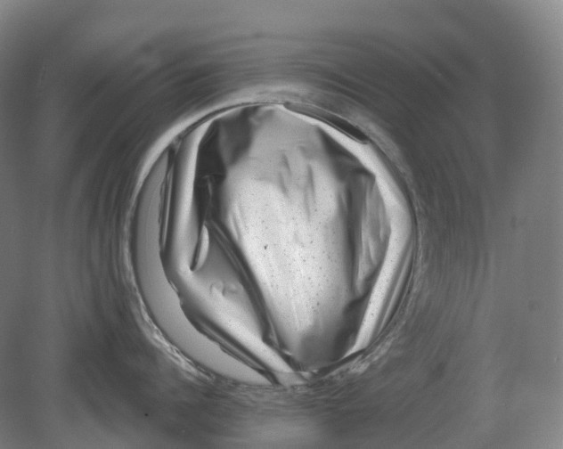 X0000080790960200701051350
