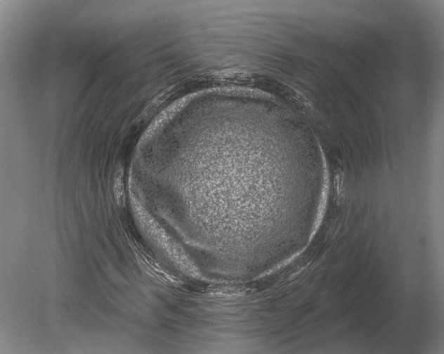 X0000080790963200701051349