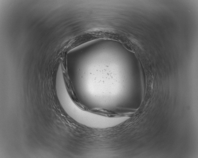 X0000080790965200701051349