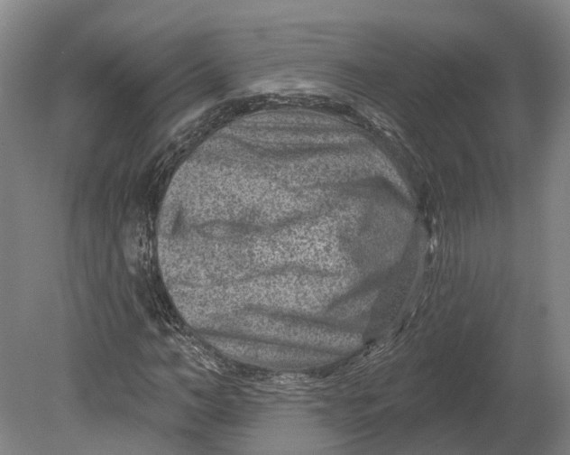 X0000080790966200701051349