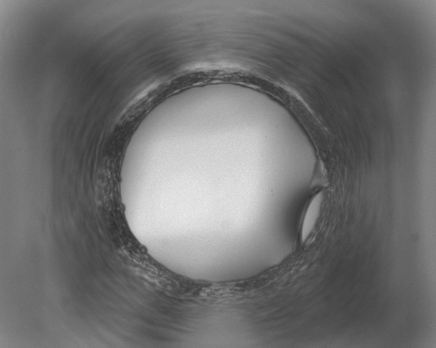 X0000080790967200701051349