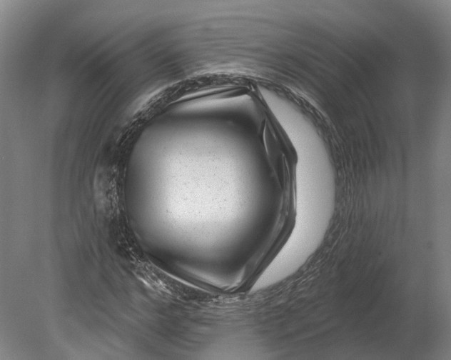 X0000080790968200701051349
