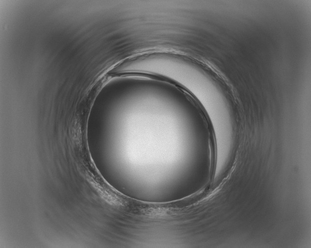 X0000080790969200701051349
