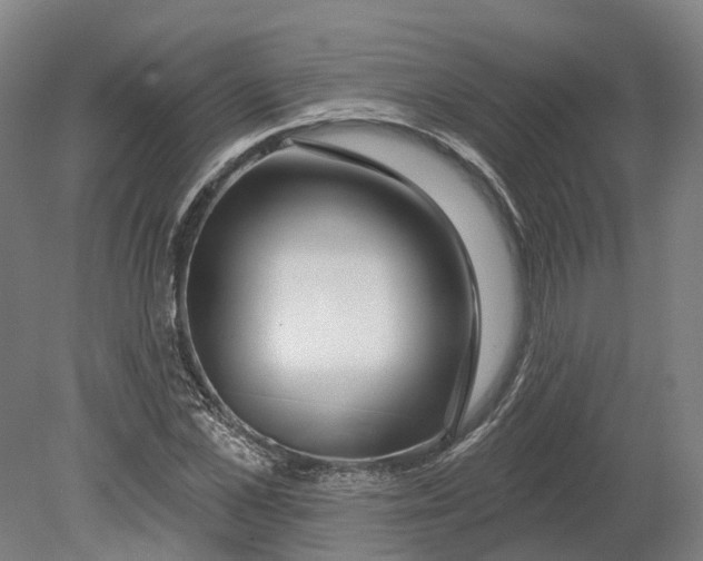 X0000080790973200701051349