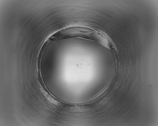 X0000080790980200701051349