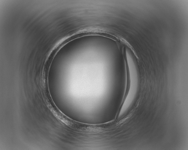 X0000080790981200701051349