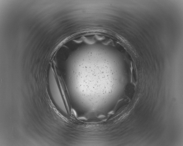 X0000080790985200701051349
