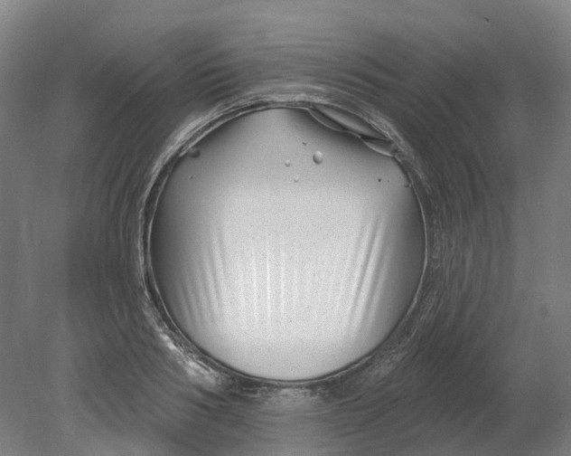 X0000080790986200701051349