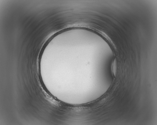 X0000080790988200701051349